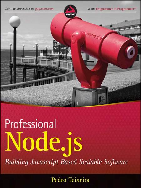 Professional Node.js book cover